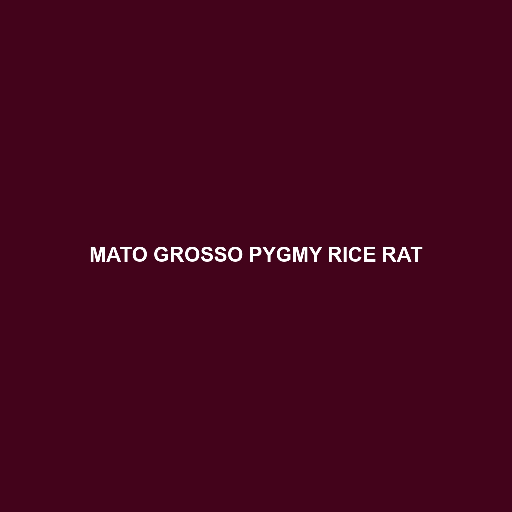 Mato Grosso Pygmy Rice Rat