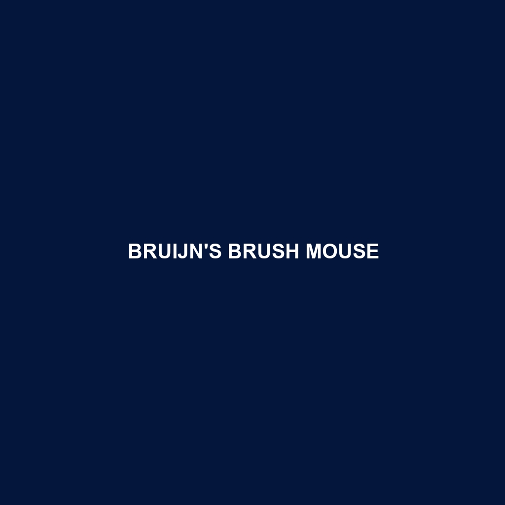 Bruijn's Brush Mouse