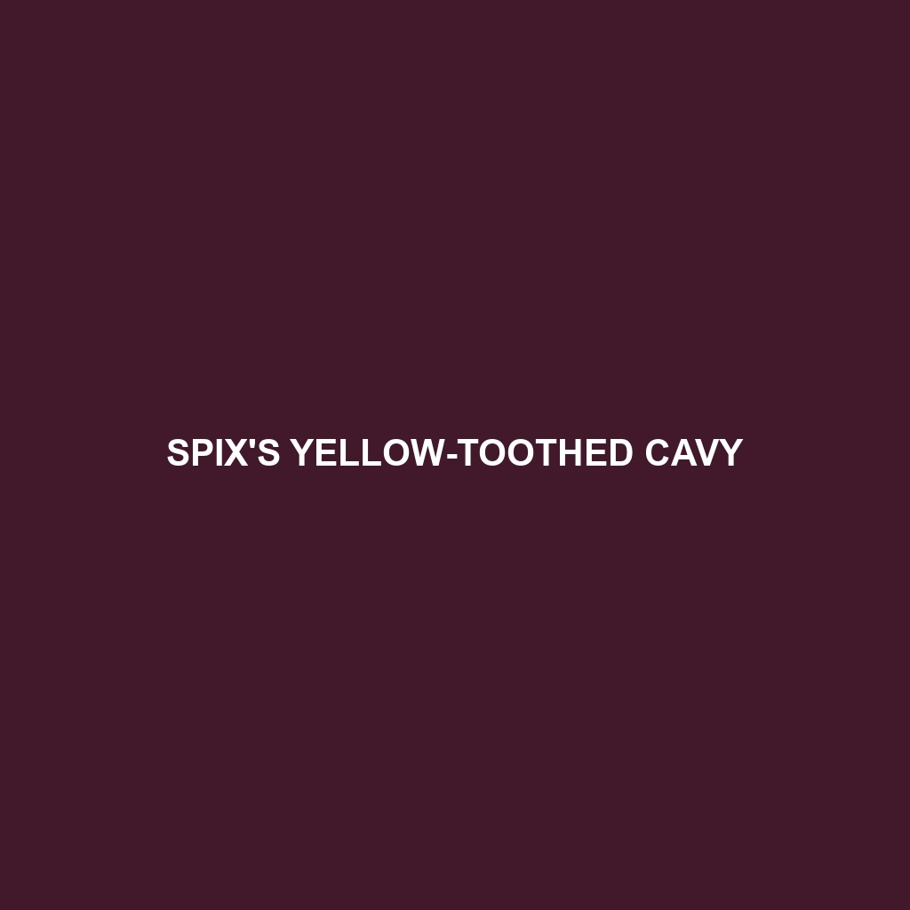 Spix's Yellow-toothed Cavy