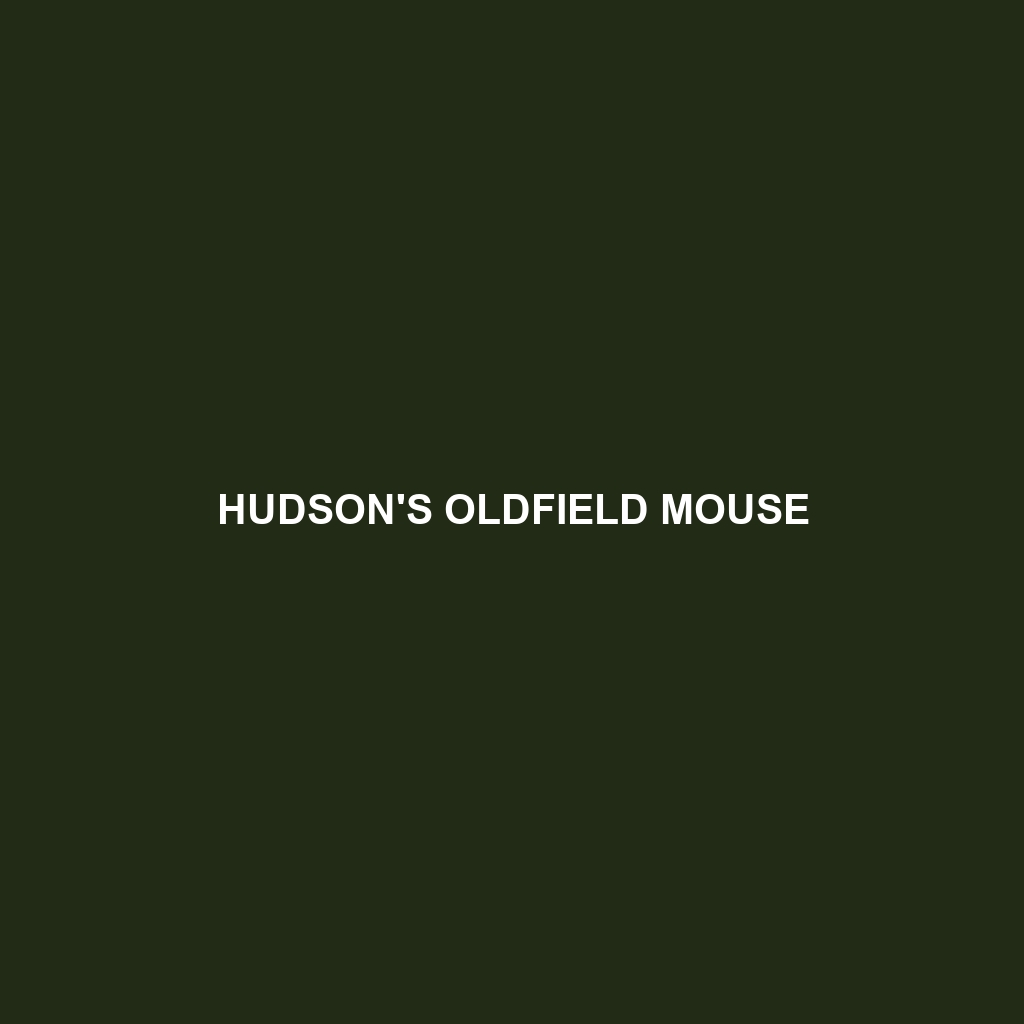 Hudson's Oldfield Mouse