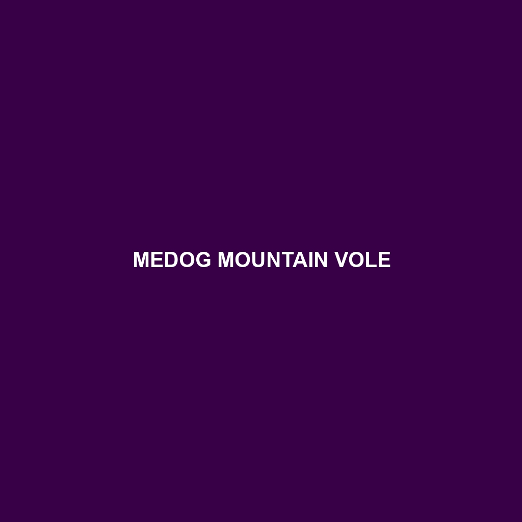 Medog Mountain Vole