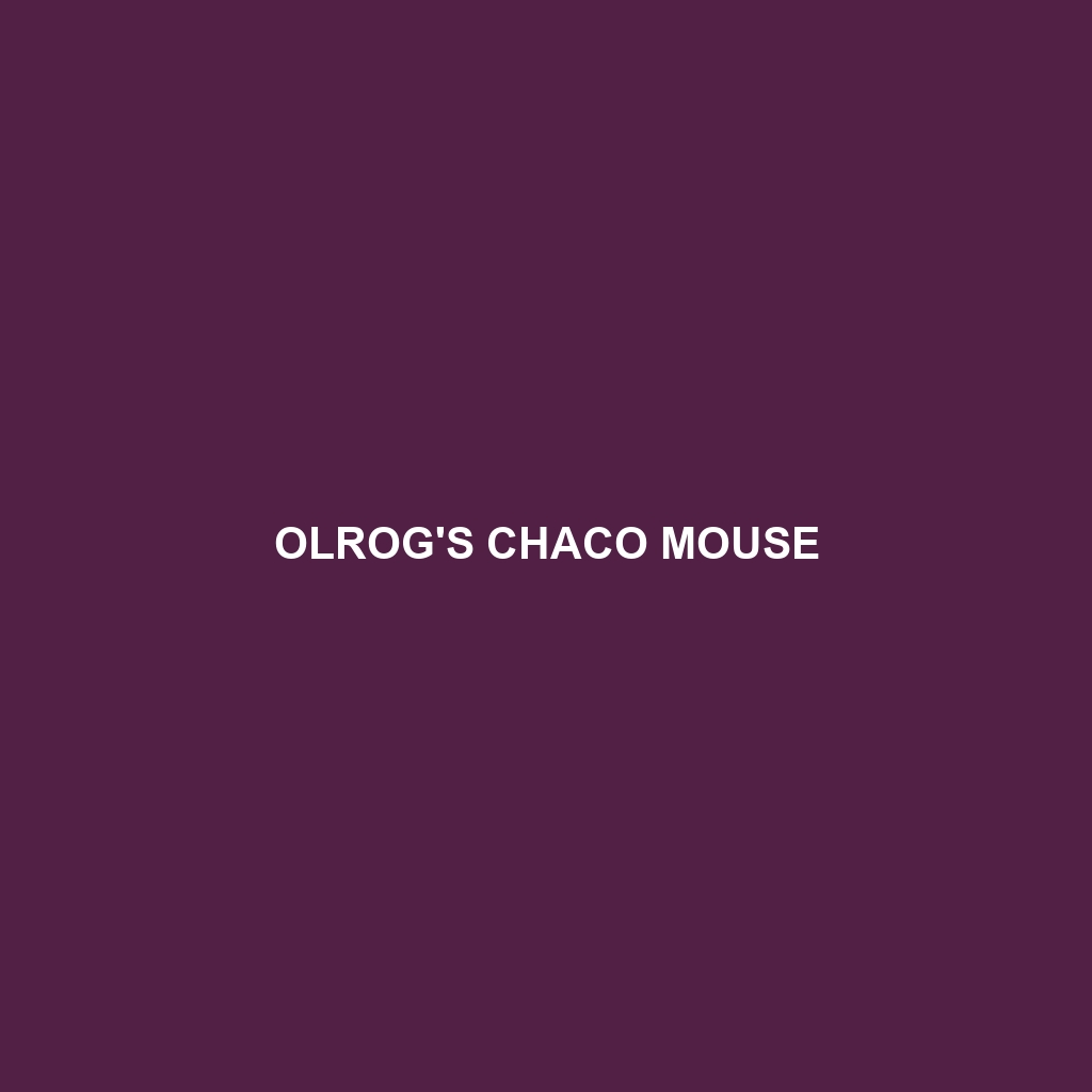 Olrog's Chaco Mouse