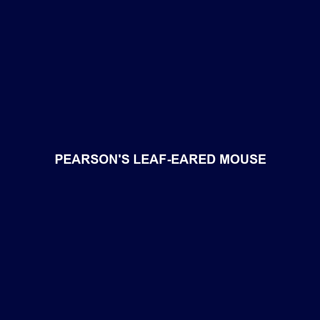 Pearson's Leaf-eared Mouse