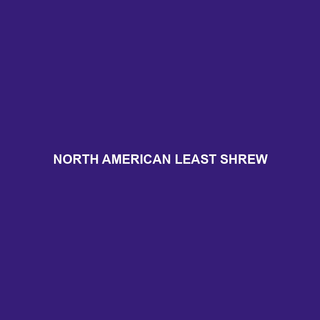 North American Least Shrew