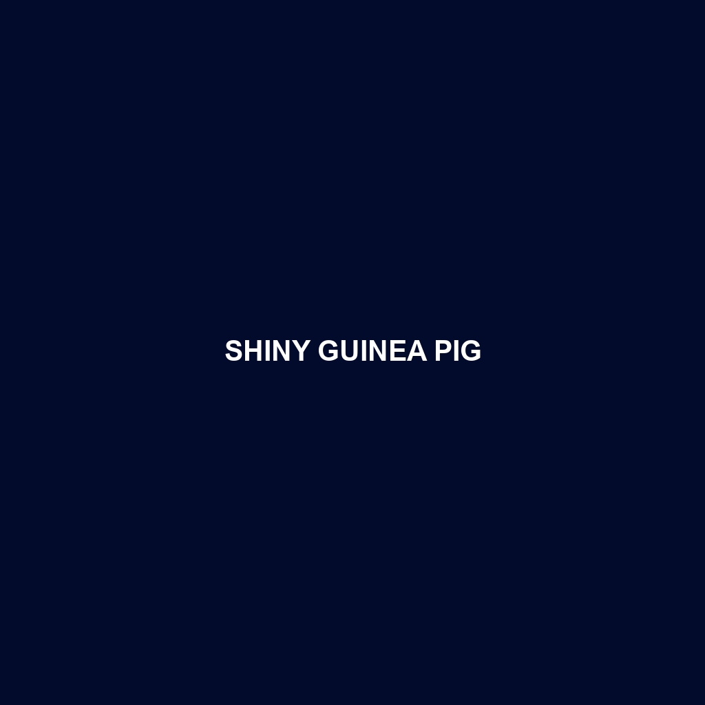 Shiny Guinea Pig