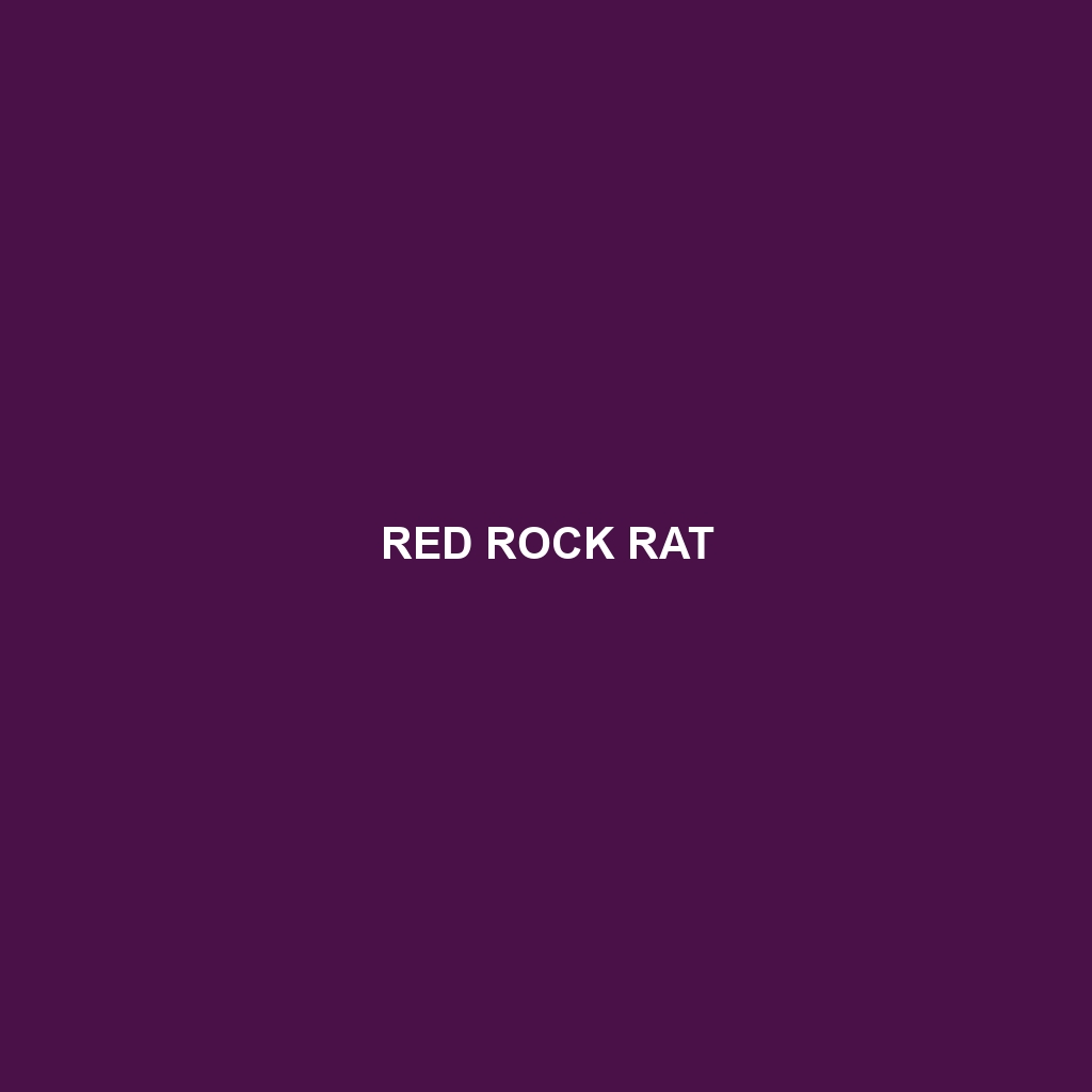 Red Rock Rat