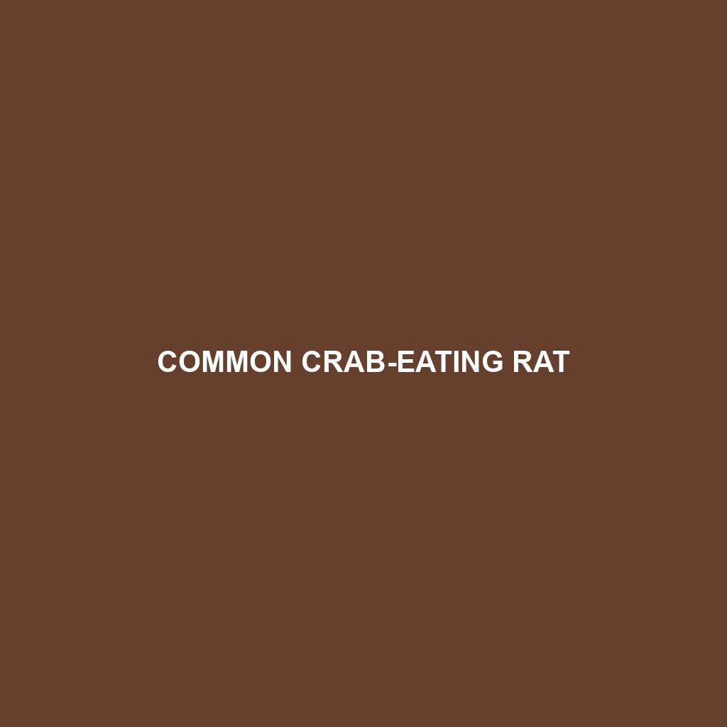 Common Crab-eating Rat