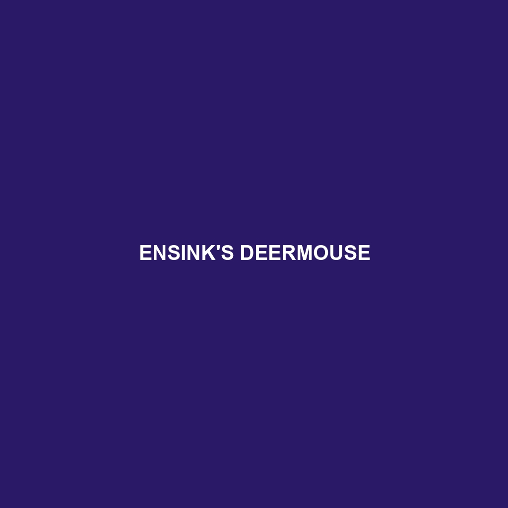 Ensink's Deermouse