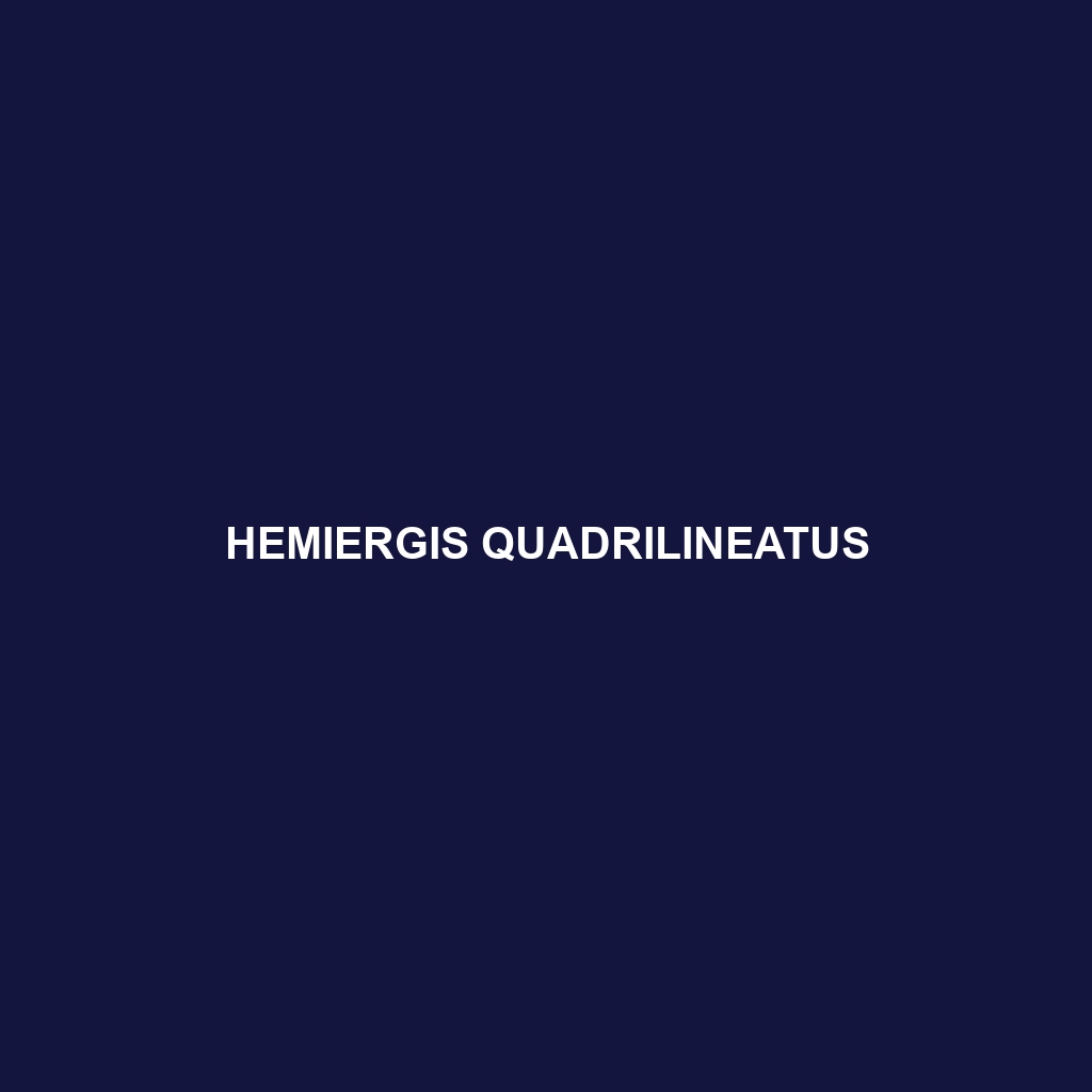 Hemiergis quadrilineatus