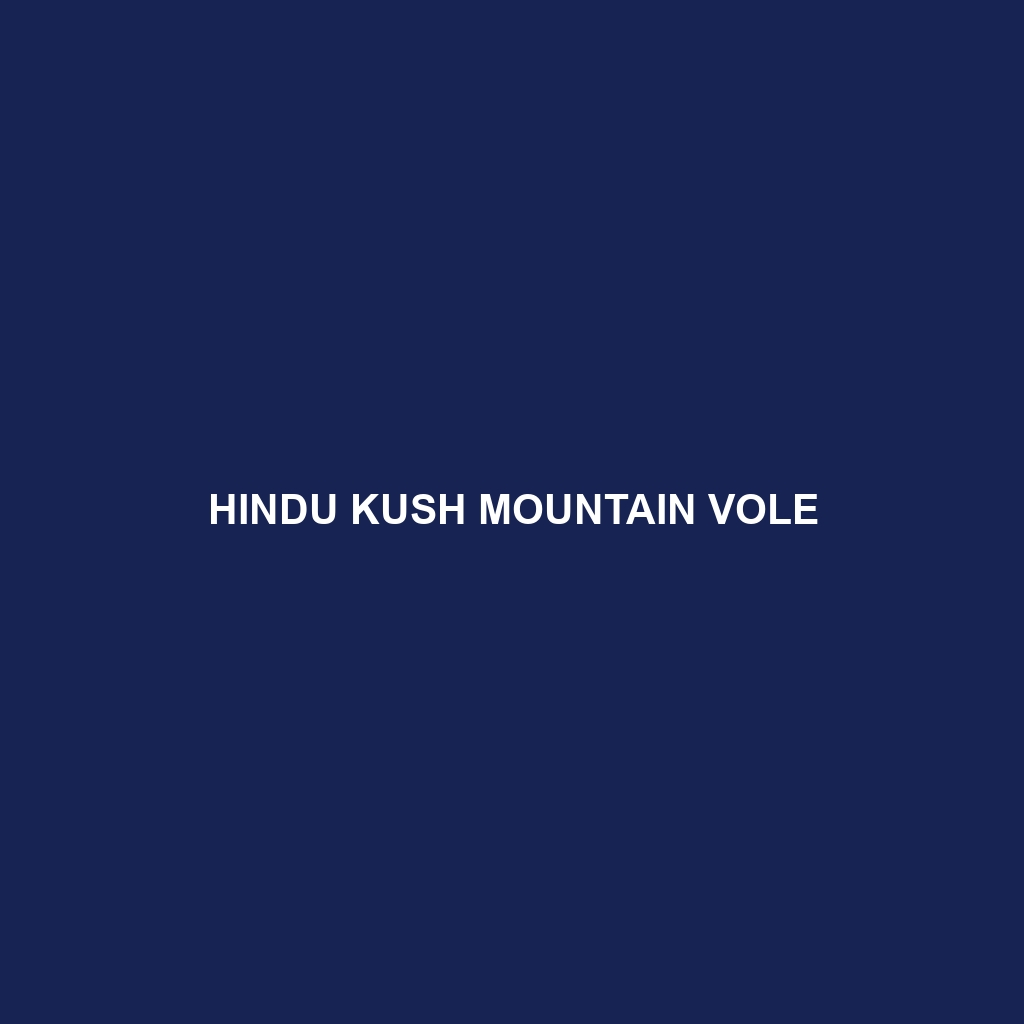 Hindu Kush Mountain Vole