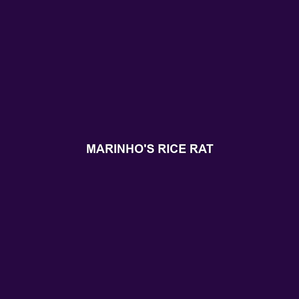 Marinho's Rice Rat