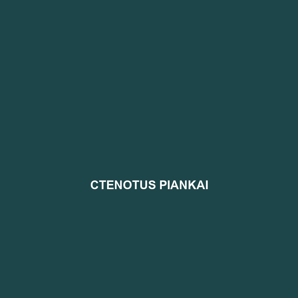 Ctenotus piankai