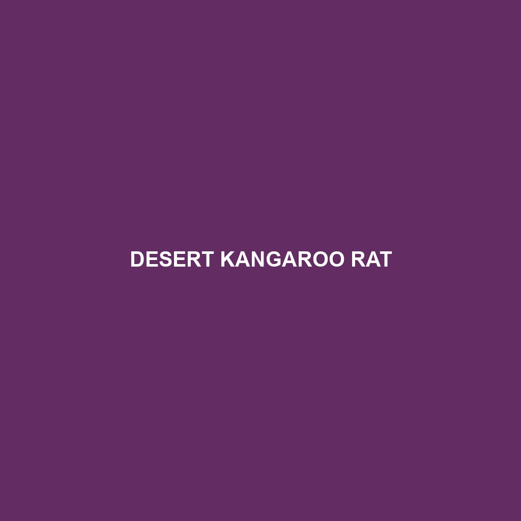 Desert Kangaroo Rat