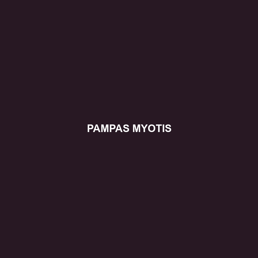 Pampas Myotis