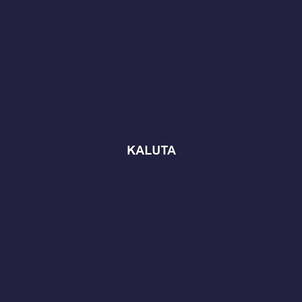 Kaluta