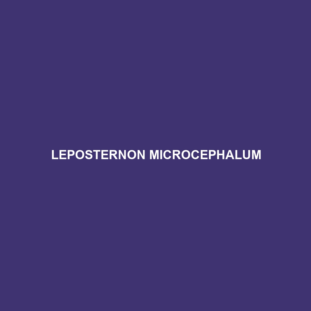 Leposternon microcephalum