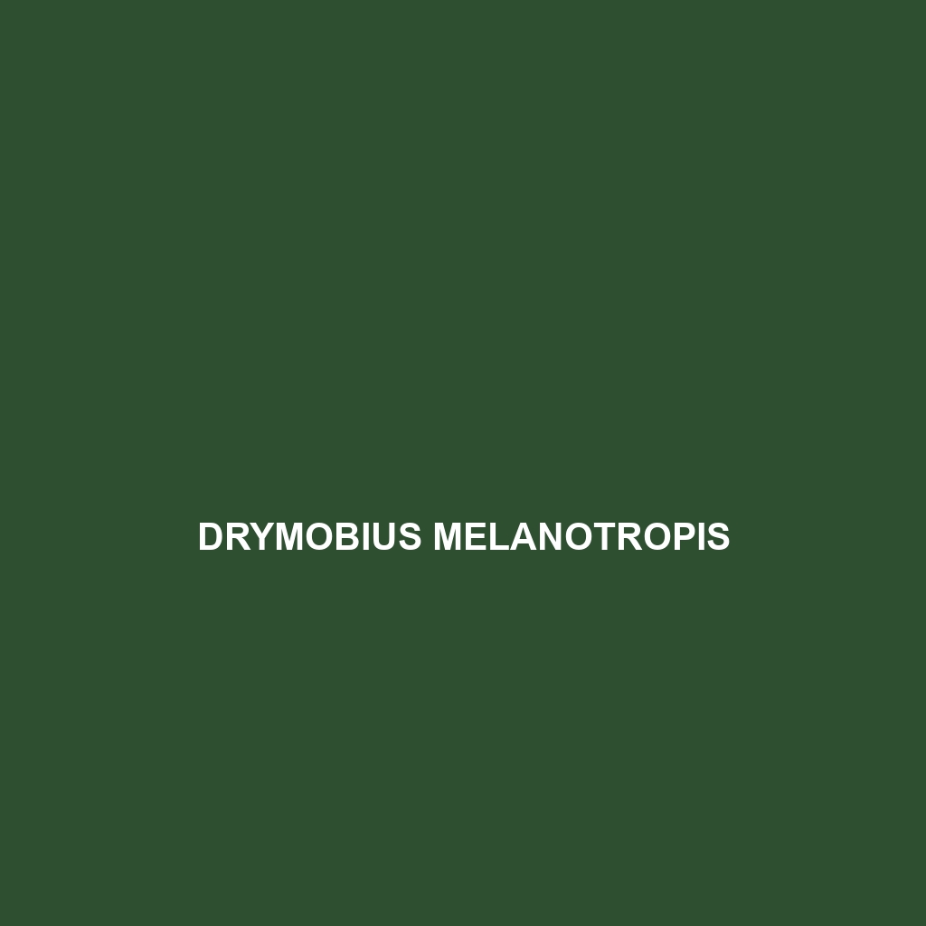 Drymobius melanotropis