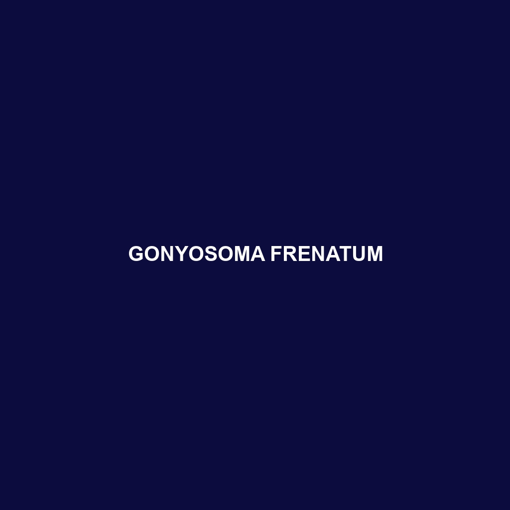 Gonyosoma frenatum