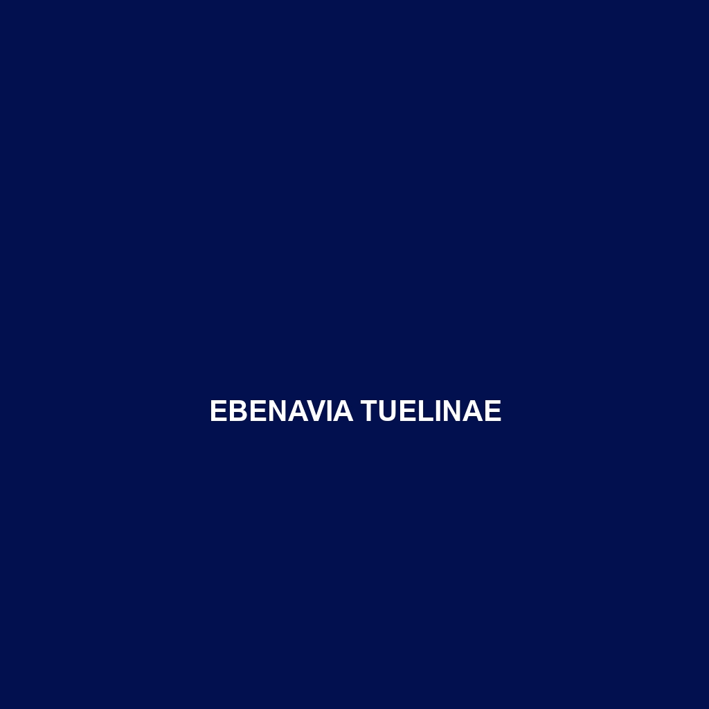 Ebenavia tuelinae