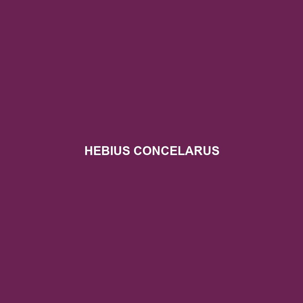 Hebius concelarus