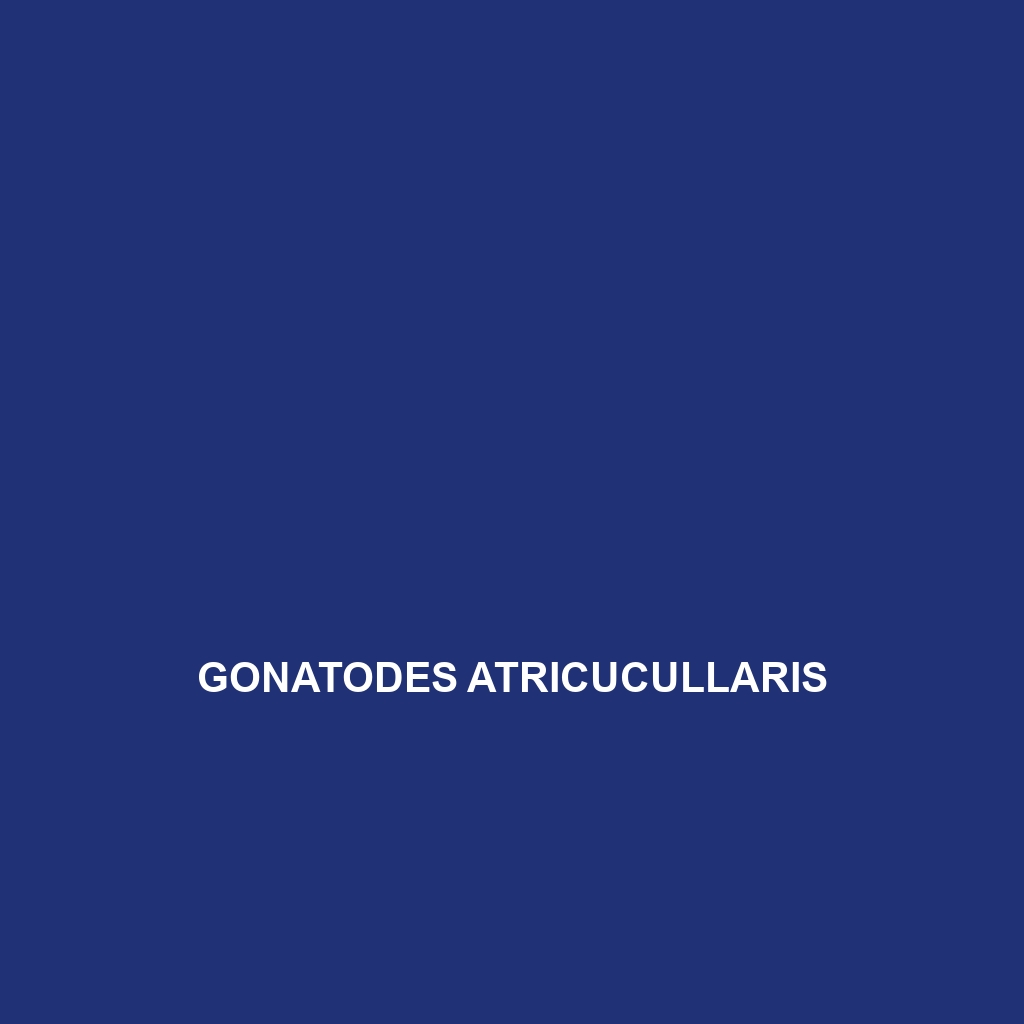 Gonatodes atricucullaris