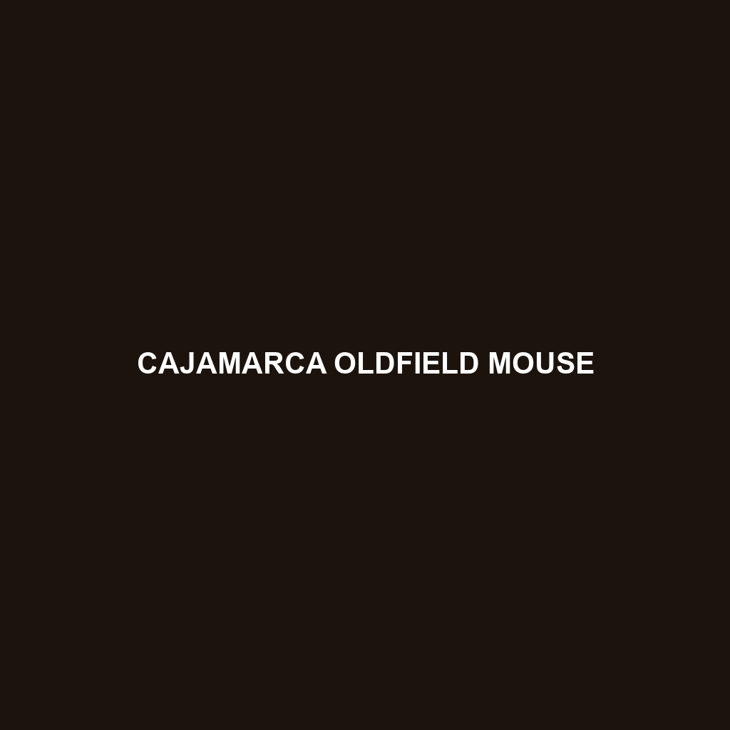 Cajamarca Oldfield Mouse