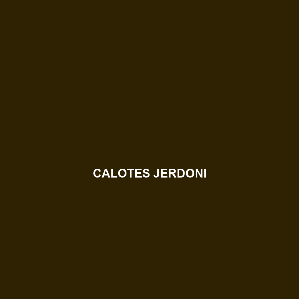 Calotes jerdoni