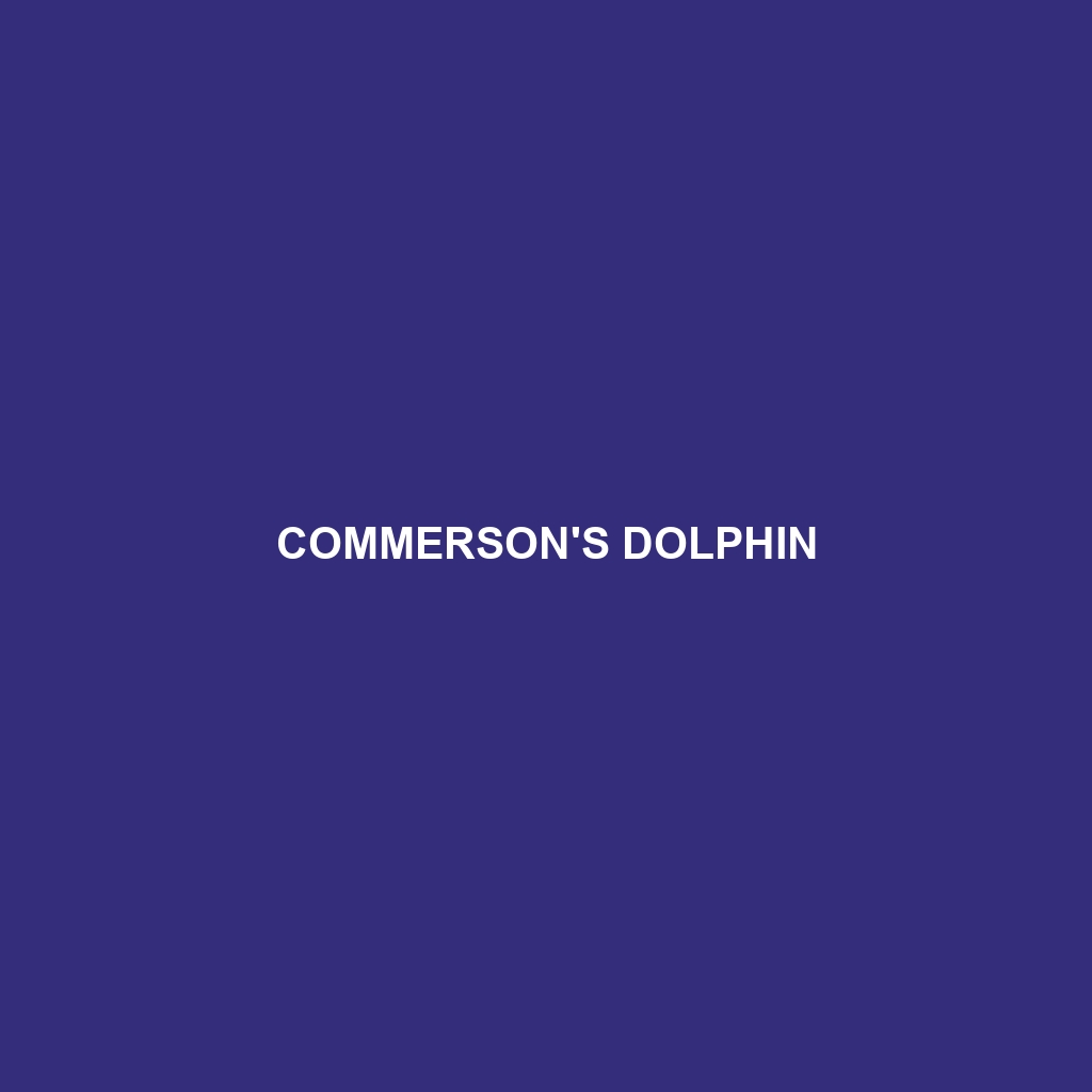 Commerson's Dolphin