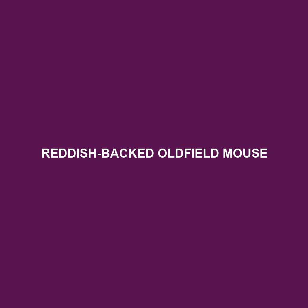 Reddish-backed Oldfield Mouse