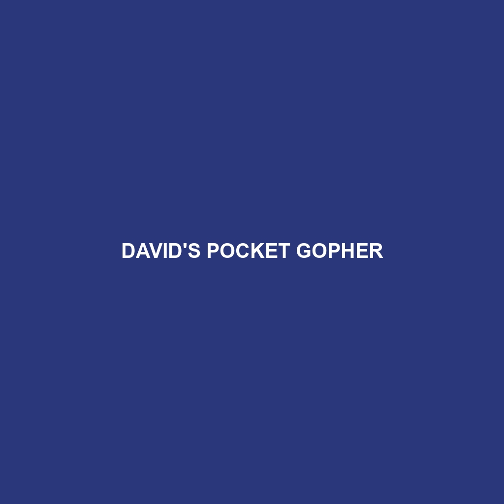 David's Pocket Gopher