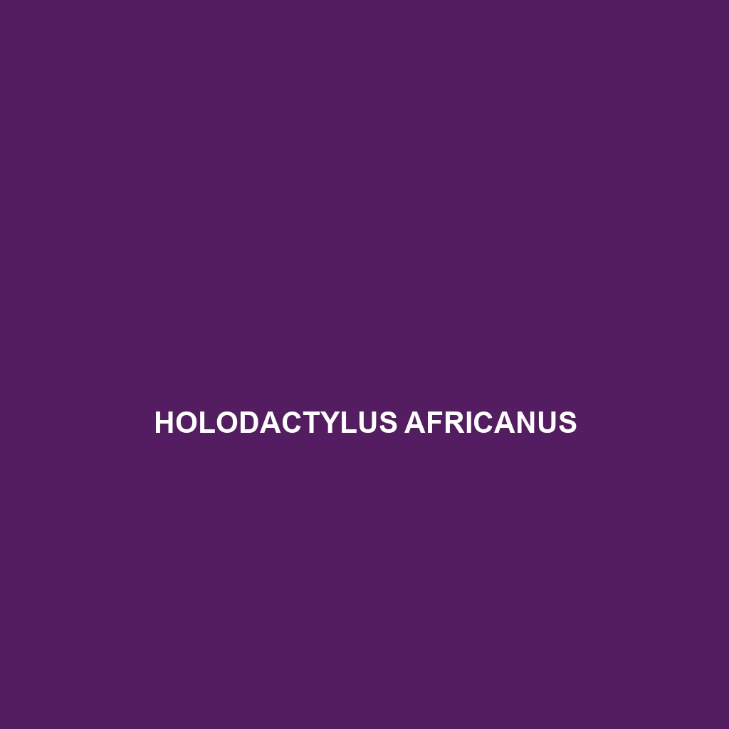 Holodactylus africanus