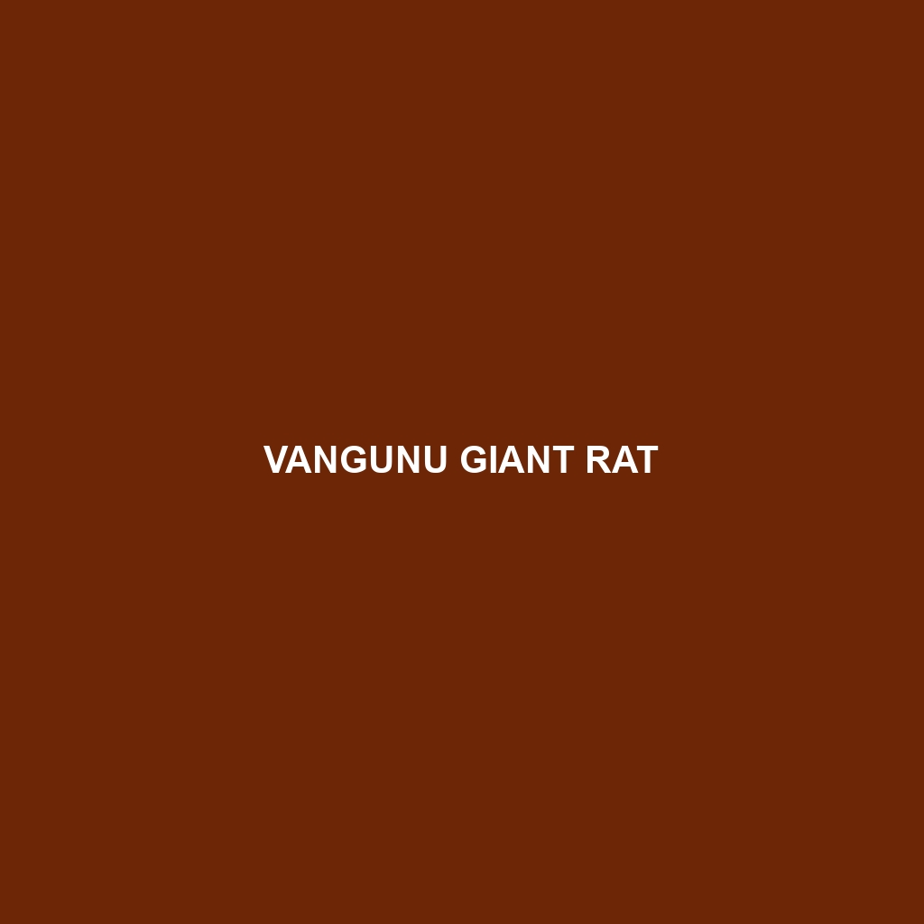 Vangunu Giant Rat