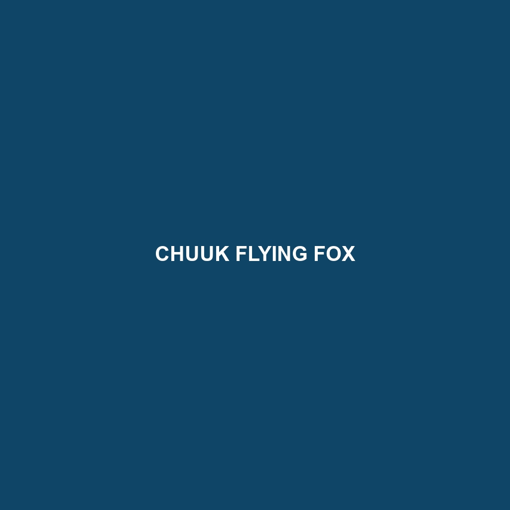 Chuuk Flying Fox