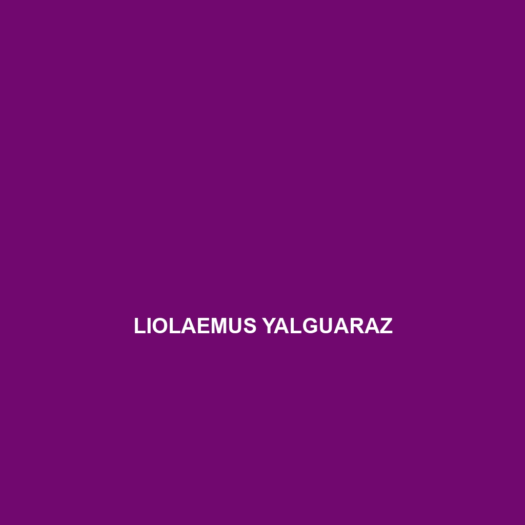 Liolaemus yalguaraz