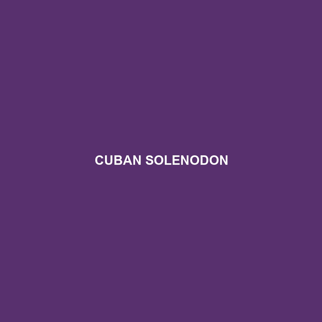 Cuban Solenodon