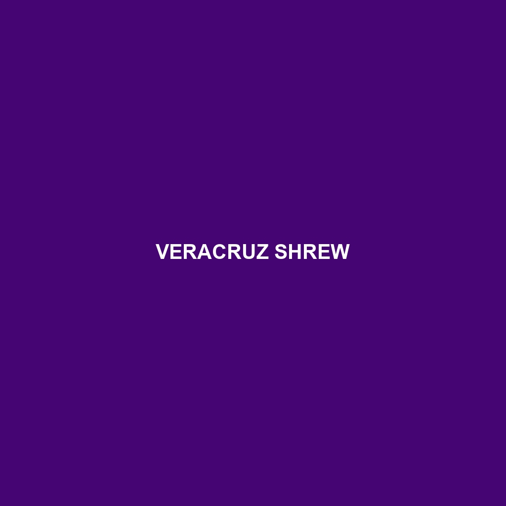 Veracruz Shrew