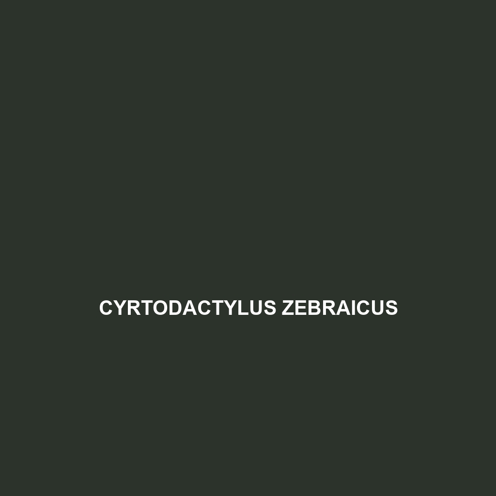 Cyrtodactylus zebraicus