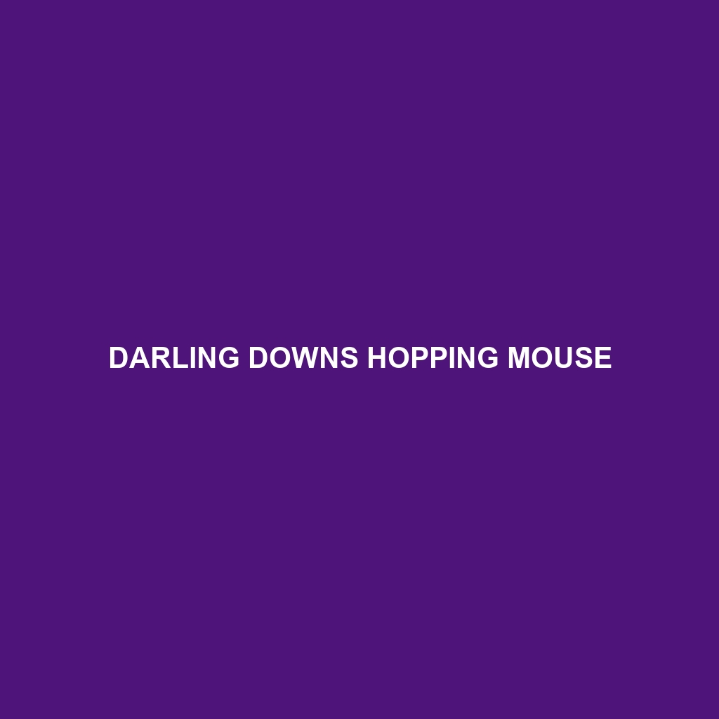 Darling Downs Hopping Mouse