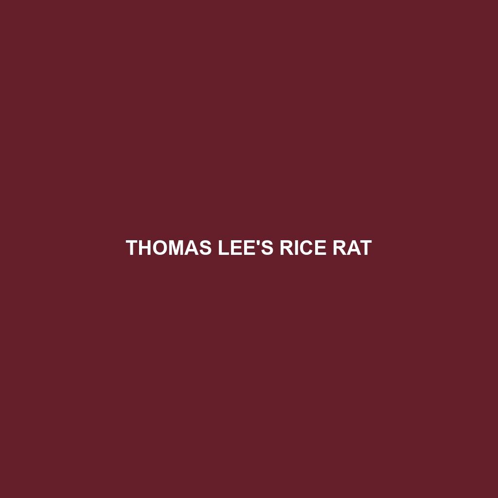 Thomas Lee's Rice Rat