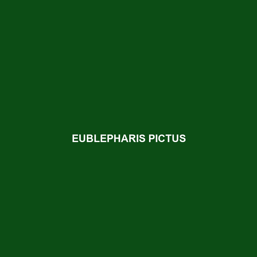 Eublepharis pictus