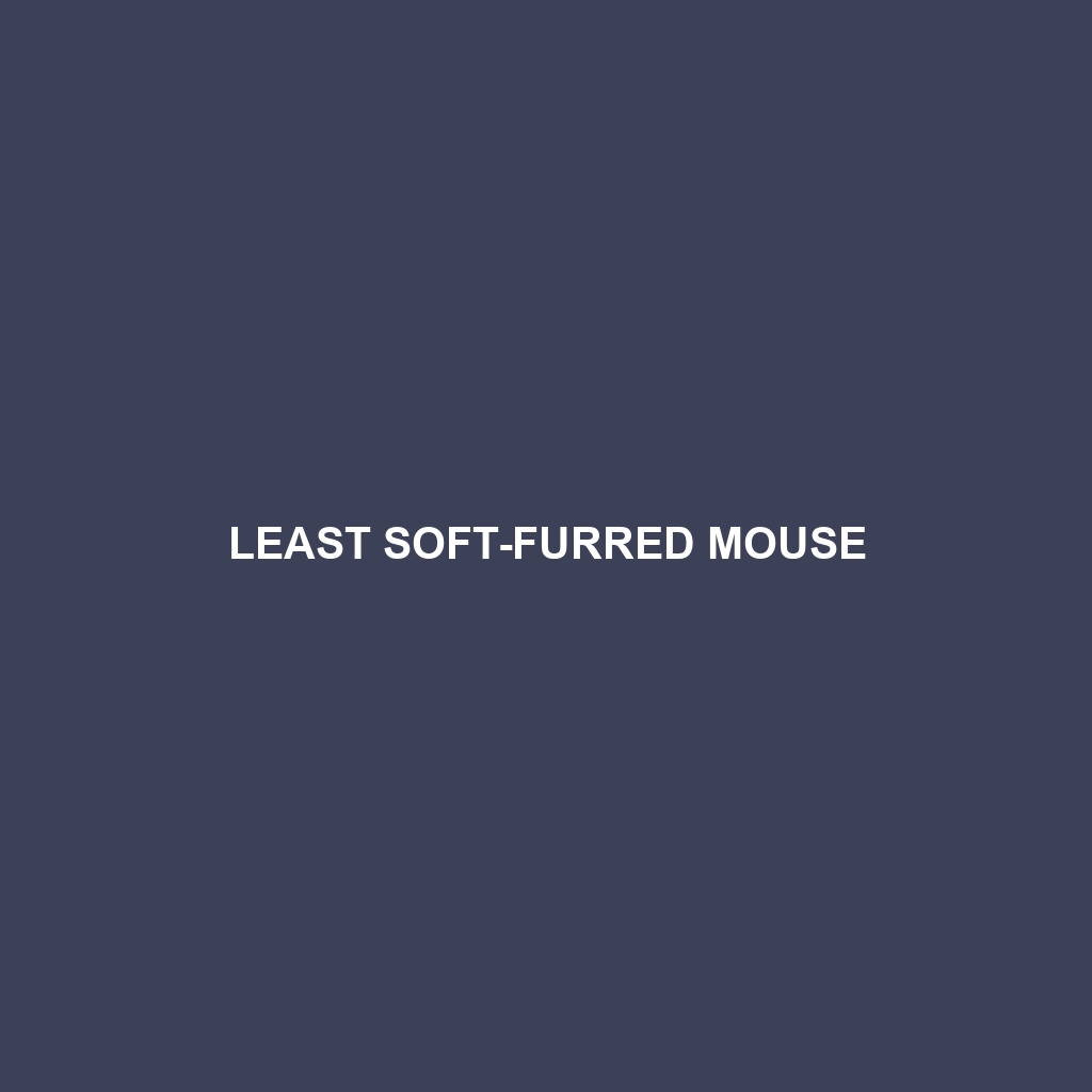 Least Soft-furred Mouse