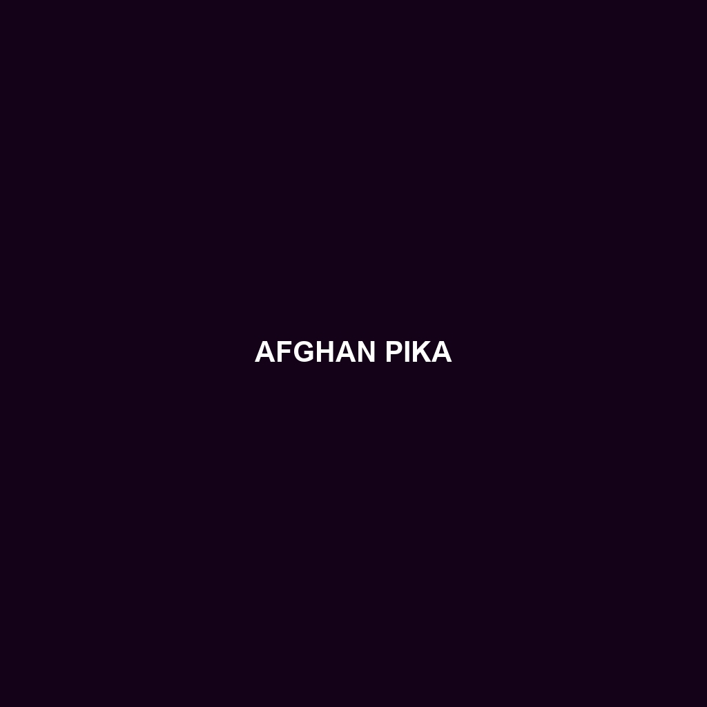 Afghan Pika