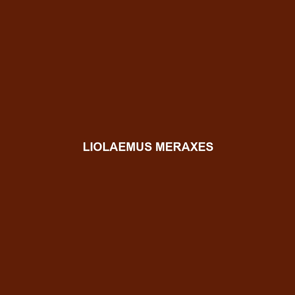 Liolaemus meraxes