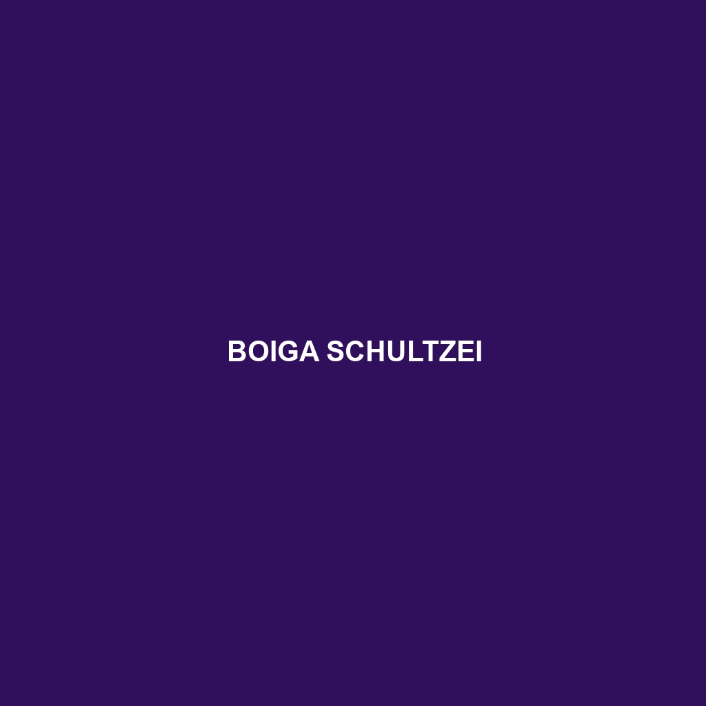 Boiga schultzei