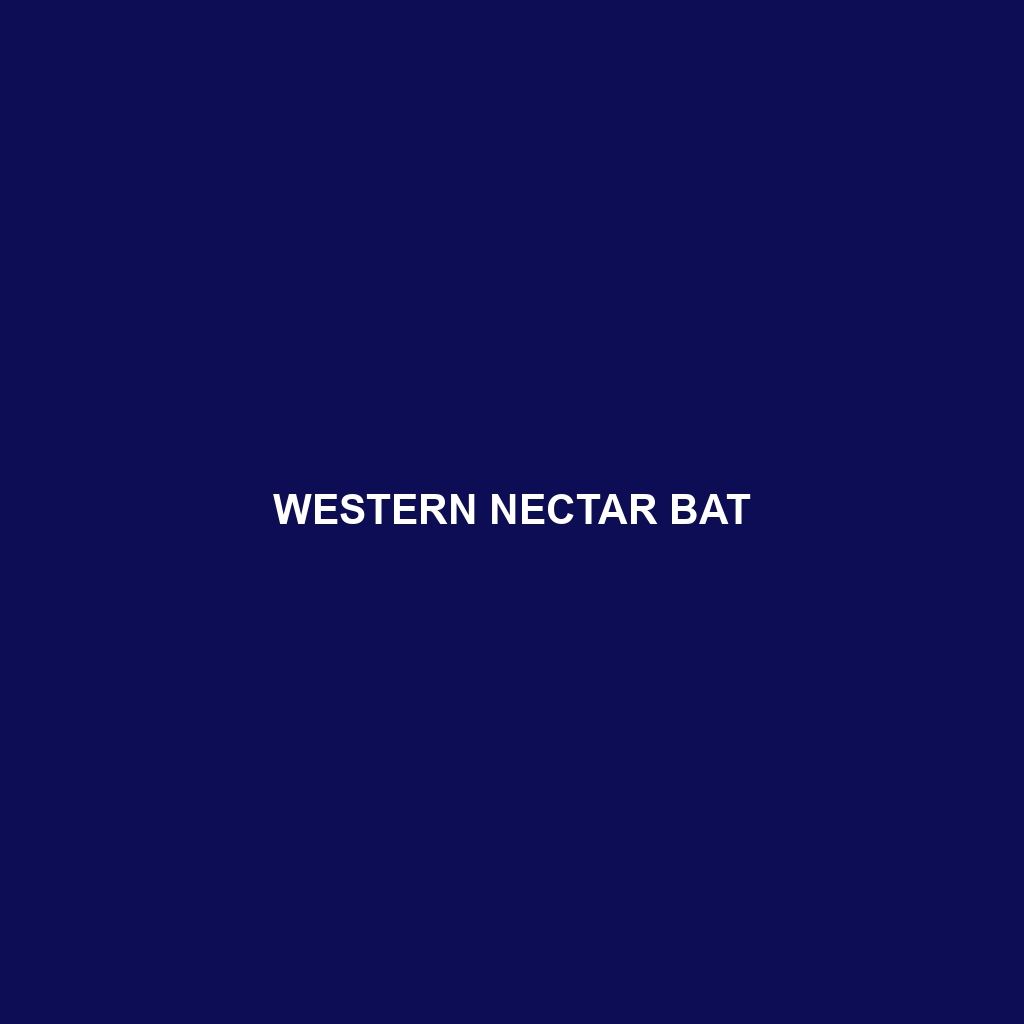 Western Nectar Bat