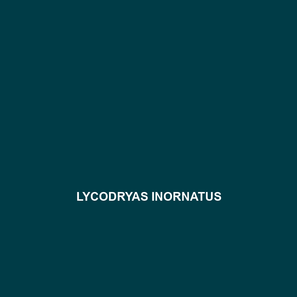 Lycodryas inornatus