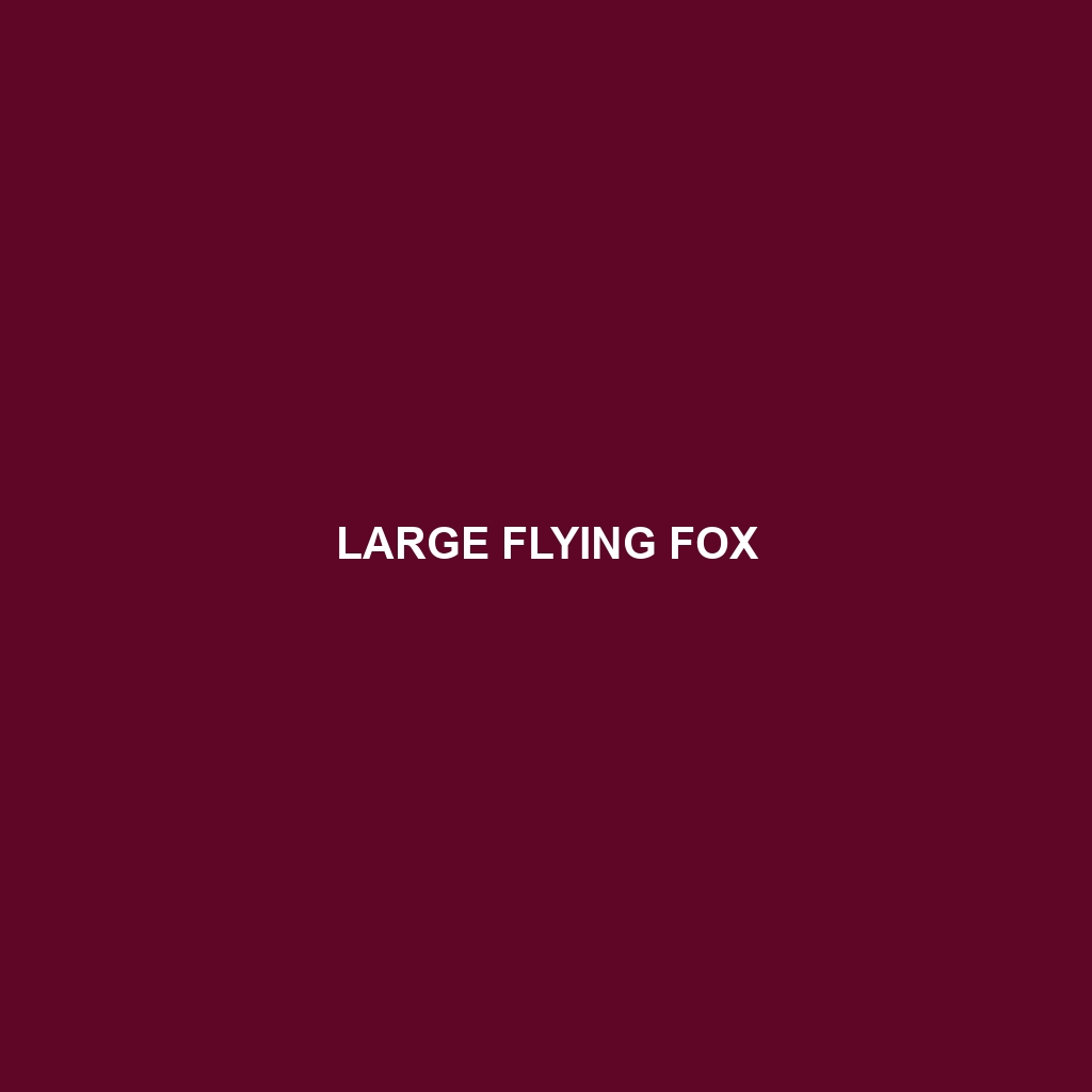 Large Flying Fox