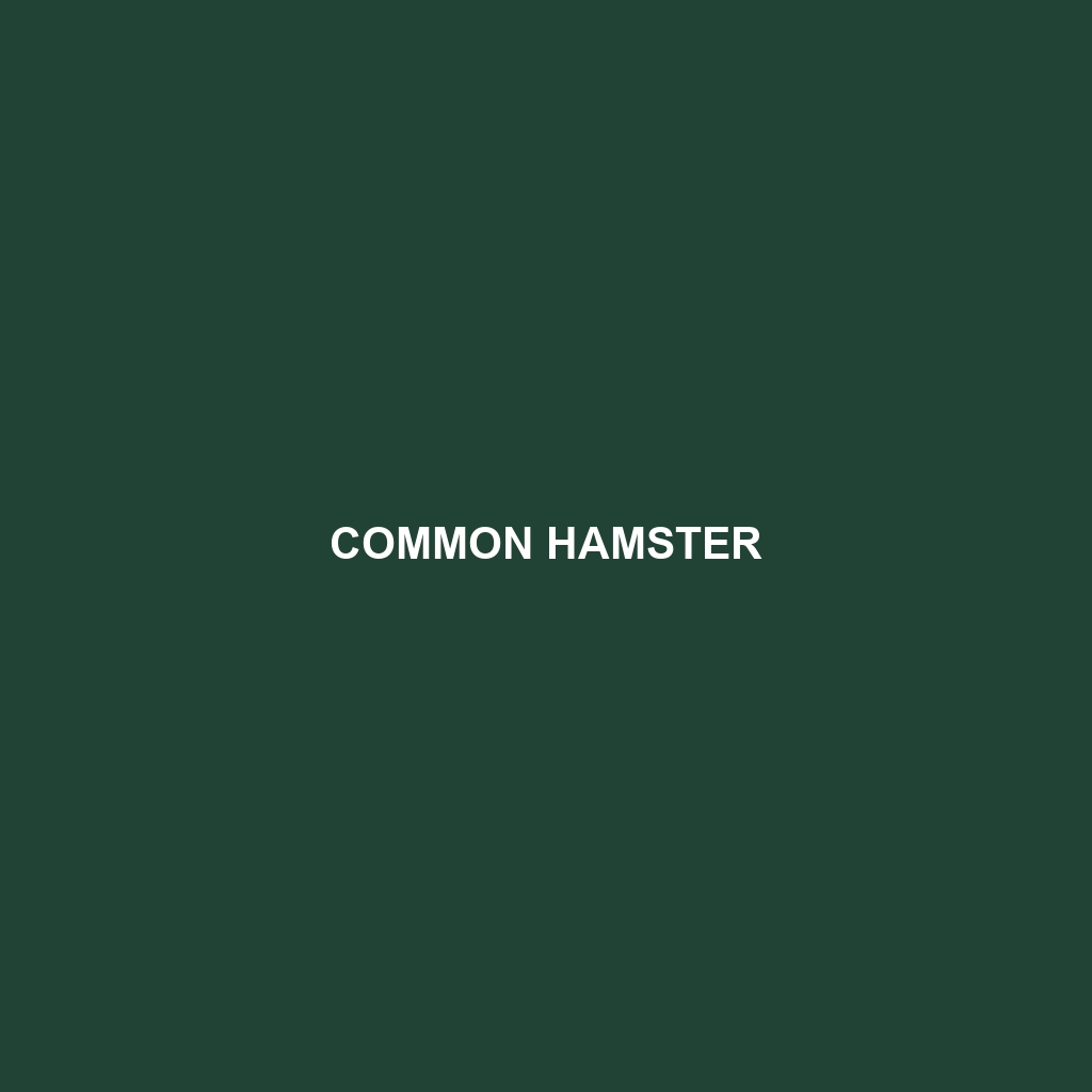 Common Hamster