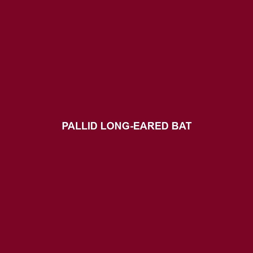 Pallid Long-eared Bat