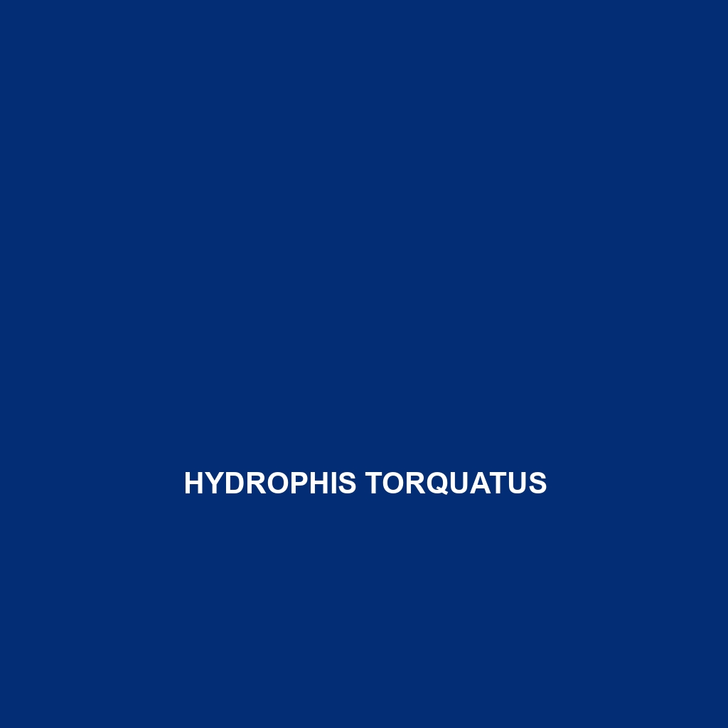 Hydrophis torquatus